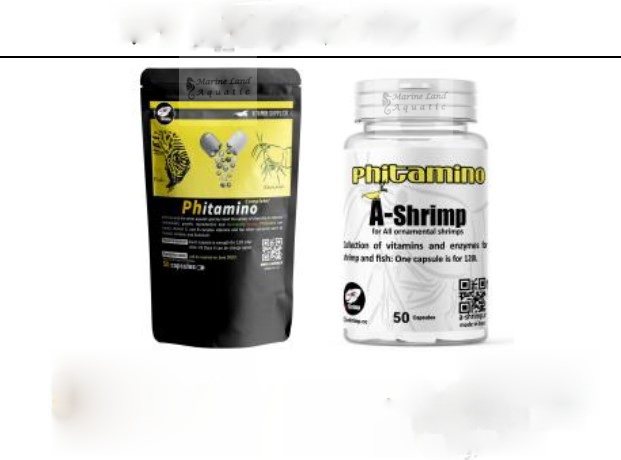 Screenshot 2026-01-13 1057031